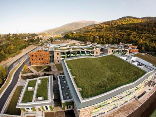 Buildings with extensive green roofs surrounded by forests